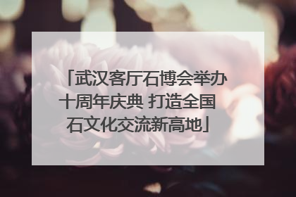 武汉客厅石博会举办十周年庆典 打造全国石文化交流新高地