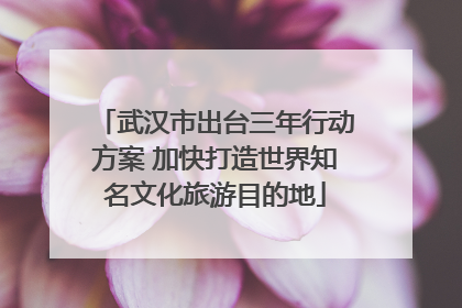 武汉市出台三年行动方案 加快打造世界知名文化旅游目的地