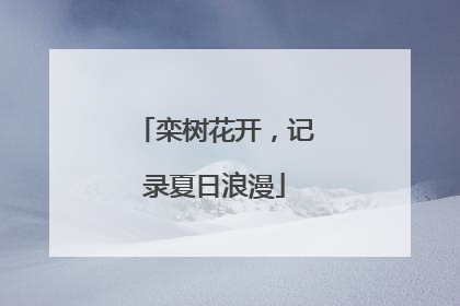 栾树花开，记录夏日浪漫
