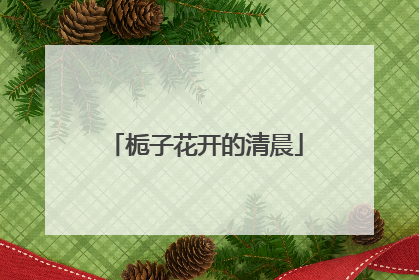 栀子花开的清晨