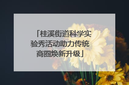 桂溪街道科学实验秀活动助力传统商圈焕新升级