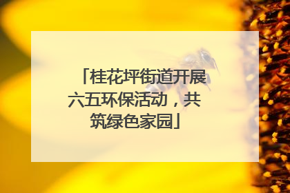 桂花坪街道开展六五环保活动，共筑绿色家园