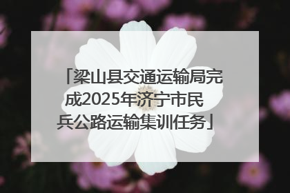 梁山县交通运输局完成2025年济宁市民兵公路运输集训任务