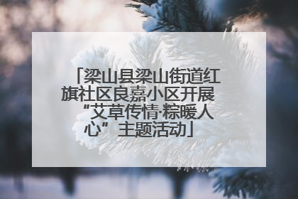 梁山县梁山街道红旗社区良嘉小区开展“艾草传情·粽暖人心”主题活动