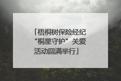 梧桐树保险经纪“桐星守护”关爱活动圆满举行