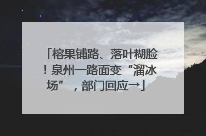 榕果铺路、落叶糊脸！泉州一路面变“溜冰场”，部门回应→