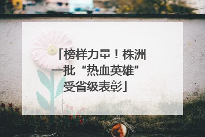 榜样力量！株洲一批“热血英雄”受省级表彰