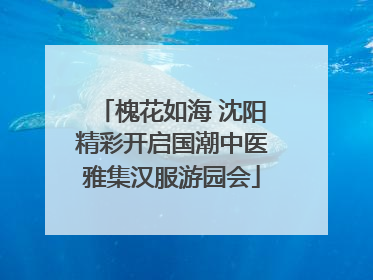 槐花如海 沈阳精彩开启国潮中医雅集汉服游园会