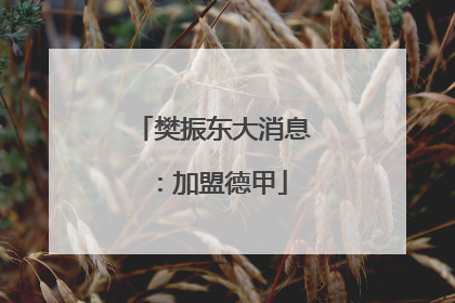樊振东大消息：加盟德甲