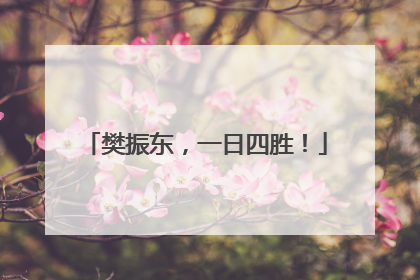 樊振东，一日四胜！