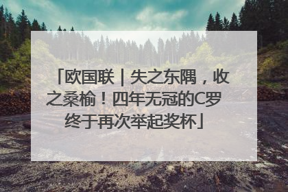 欧国联｜失之东隅，收之桑榆！四年无冠的C罗终于再次举起奖杯