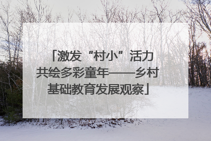 激发“村小”活力 共绘多彩童年——乡村基础教育发展观察