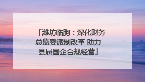 潍坊临朐：深化财务总监委派制改革 助力县属国企合规经营