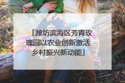 潍坊滨海区芳青玫瑰园以农业创新激活乡村振兴新动能