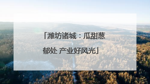 潍坊诸城：瓜甜葱郁处 产业好风光