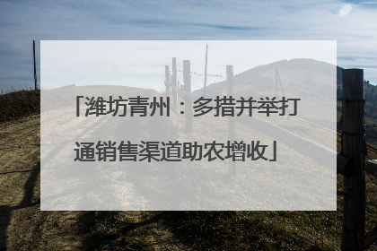 潍坊青州：多措并举打通销售渠道助农增收