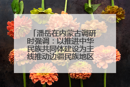 潘岳在内蒙古调研时强调：以推进中华民族共同体建设为主线推动边疆民族地区高质量发展