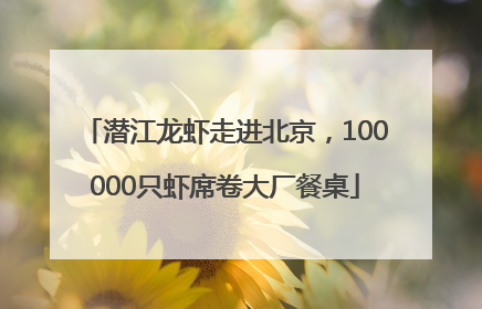 潜江龙虾走进北京，100000只虾席卷大厂餐桌