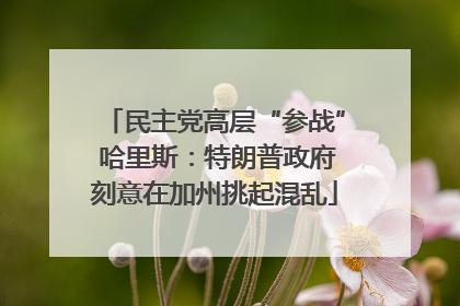 民主党高层“参战” 哈里斯：特朗普政府刻意在加州挑起混乱