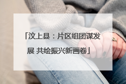 汶上县：片区组团谋发展 共绘振兴新画卷