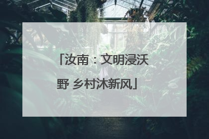 汝南：文明浸沃野 乡村沐新风