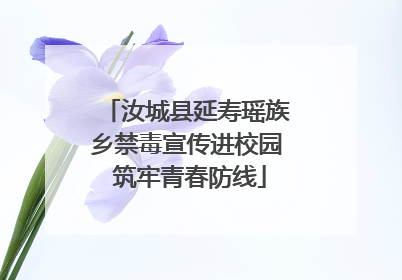汝城县延寿瑶族乡禁毒宣传进校园 筑牢青春防线