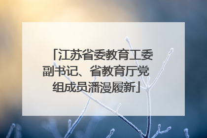 江苏省委教育工委副书记、省教育厅党组成员潘漫履新
