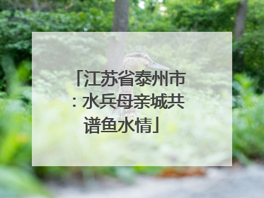 江苏省泰州市：水兵母亲城共谱鱼水情