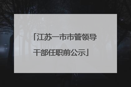 江苏一市市管领导干部任职前公示