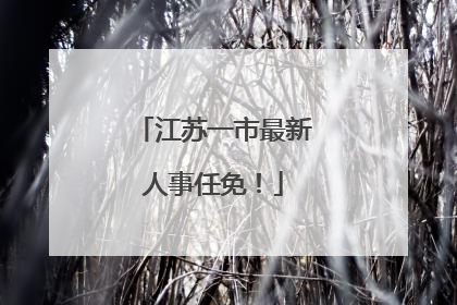 江苏一市最新人事任免！