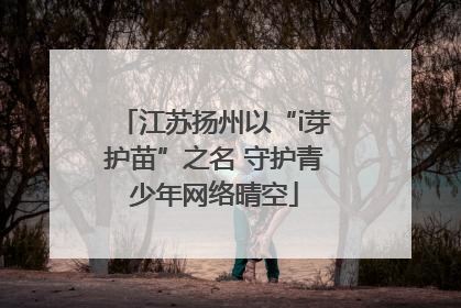 江苏扬州以“i芽护苗”之名 守护青少年网络晴空