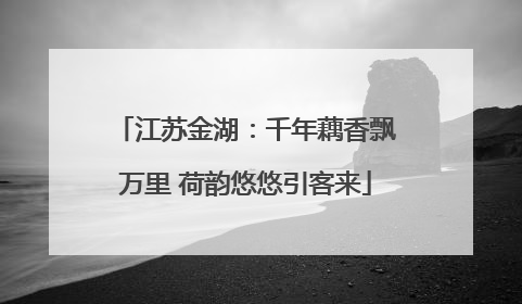 江苏金湖：千年藕香飘万里 荷韵悠悠引客来