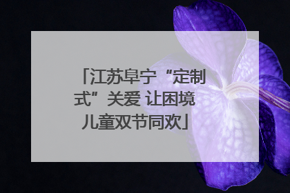 江苏阜宁“定制式”关爱 让困境儿童双节同欢