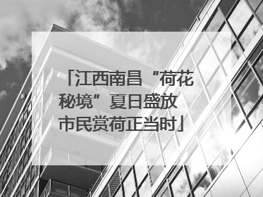 江西南昌“荷花秘境”夏日盛放 市民赏荷正当时