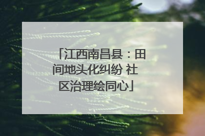 江西南昌县：田间地头化纠纷 社区治理绘同心