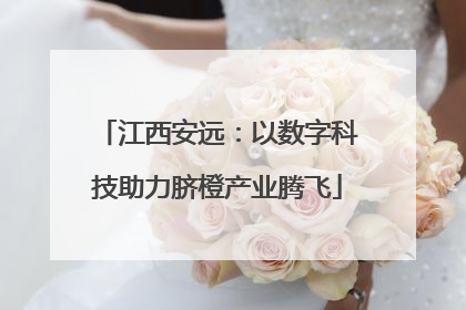 江西安远：以数字科技助力脐橙产业腾飞