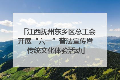 江西抚州东乡区总工会开展“六一”普法宣传暨传统文化体验活动