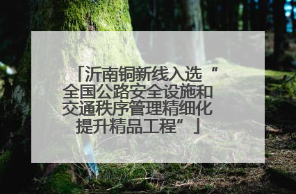 沂南铜新线入选“全国公路安全设施和交通秩序管理精细化提升精品工程”