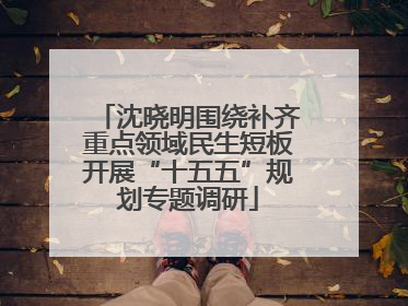 沈晓明围绕补齐重点领域民生短板开展“十五五”规划专题调研