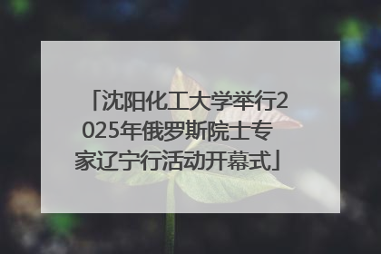 沈阳化工大学举行2025年俄罗斯院士专家辽宁行活动开幕式