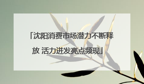 沈阳消费市场潜力不断释放 活力迸发亮点频现