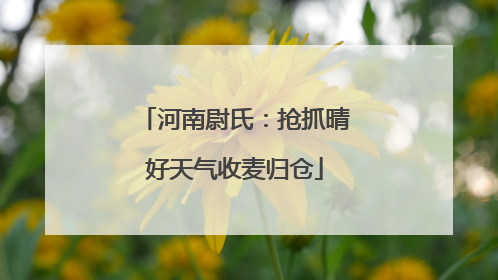 河南尉氏：抢抓晴好天气收麦归仓