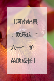 河南杞县：欢乐庆“六一” 护苗助成长