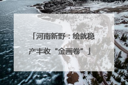 河南新野：绘就稳产丰收“金画卷”