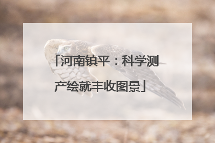 河南镇平：科学测产绘就丰收图景