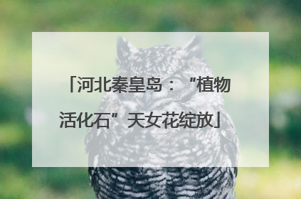 河北秦皇岛：“植物活化石”天女花绽放