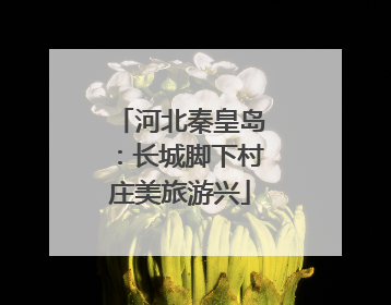 河北秦皇岛：长城脚下村庄美旅游兴