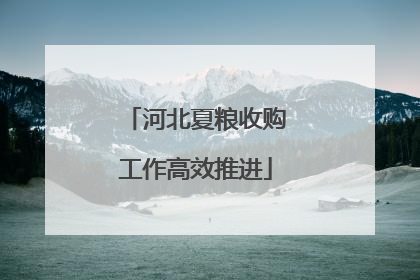 河北夏粮收购工作高效推进