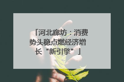 河北廊坊：消费势头稳点燃经济增长“新引擎”
