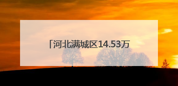 河北满城区14.53万亩小麦开镰收割（组图）